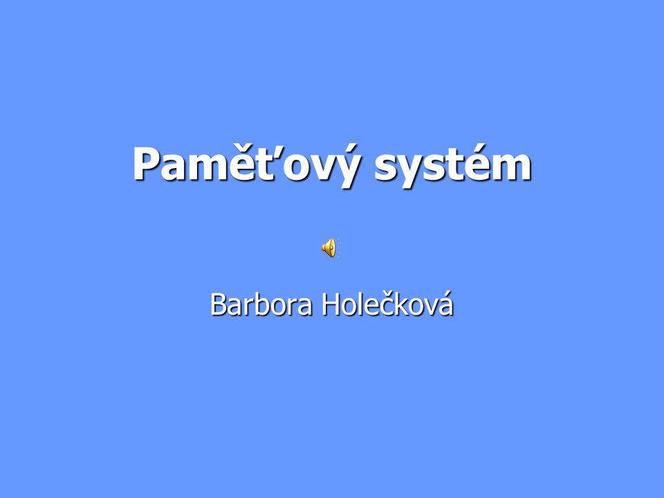 Paměťový systém Barbora Holečková