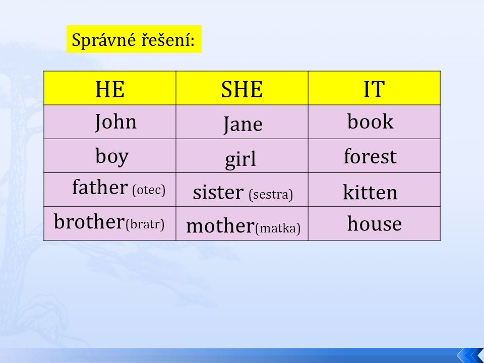 Správné řešení: HESHEIT John boy father (otec) Jane girl sister (sestra) book forest mother (matka) kitten house brother (bratr)
