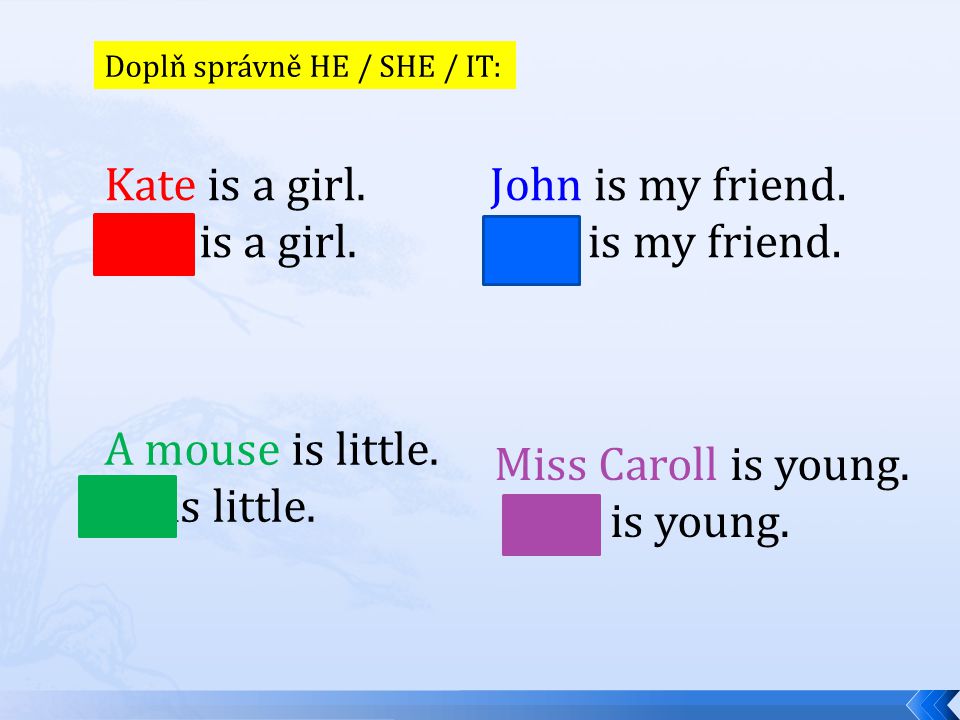 Doplň správně HE / SHE / IT: Kate is a girl. She is a girl.