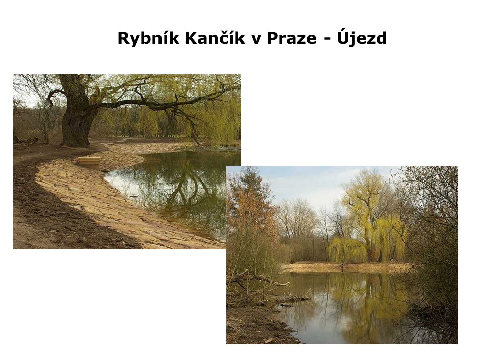 Rybník Kančík v Praze - Újezd