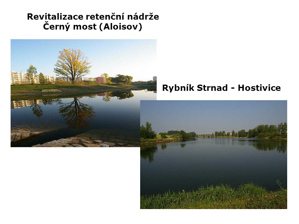 Revitalizace retenční nádrže Černý most (Aloisov) Rybník Strnad - Hostivice