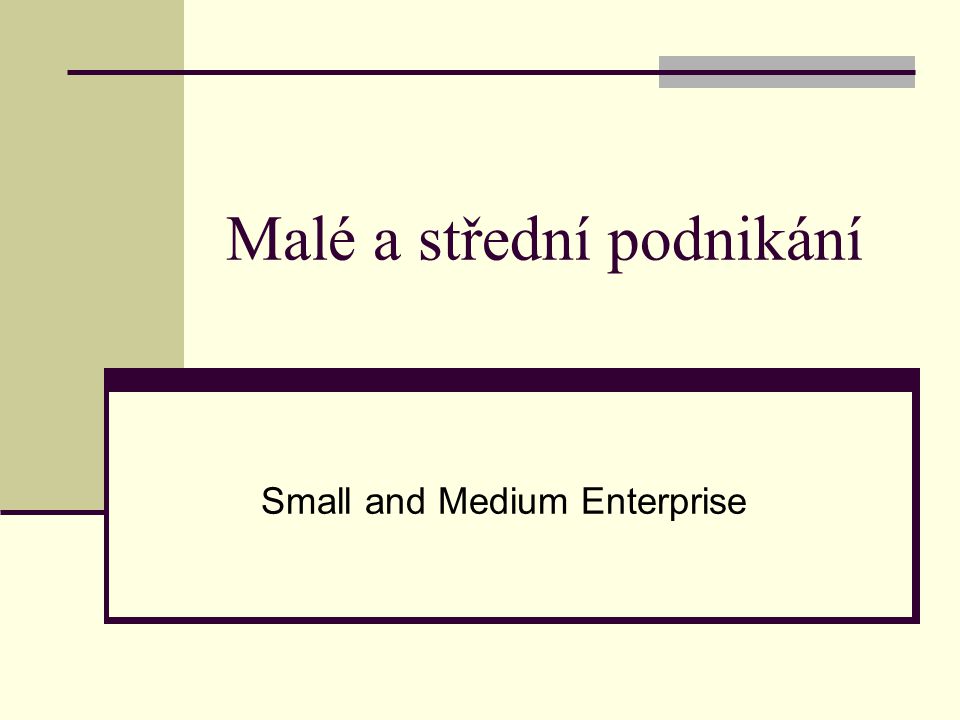 Malé a střední podnikání Small and Medium Enterprise