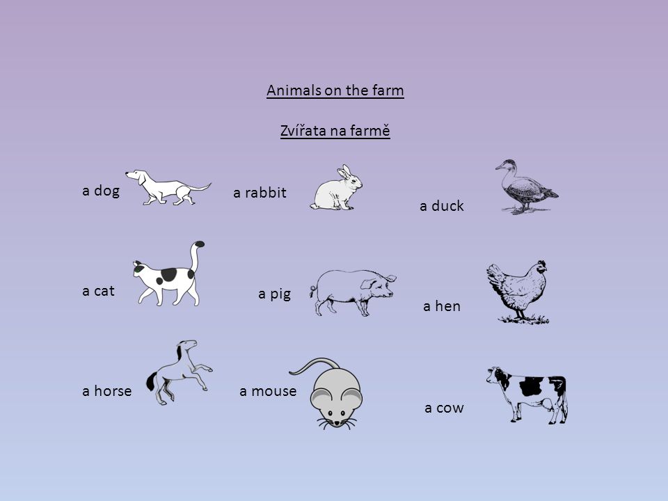 Animals on the farm Zvířata na farmě a dog a cat a horse a mouse a rabbit a duck a hen a cow a pig