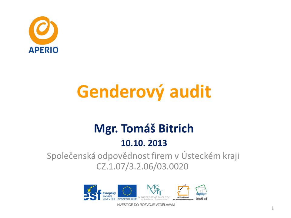 Genderový audit Mgr. Tomáš Bitrich