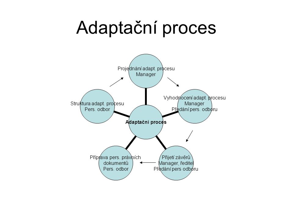 Adaptační proces Projednání adapt. procesu Manager Vyhodnocení adapt.