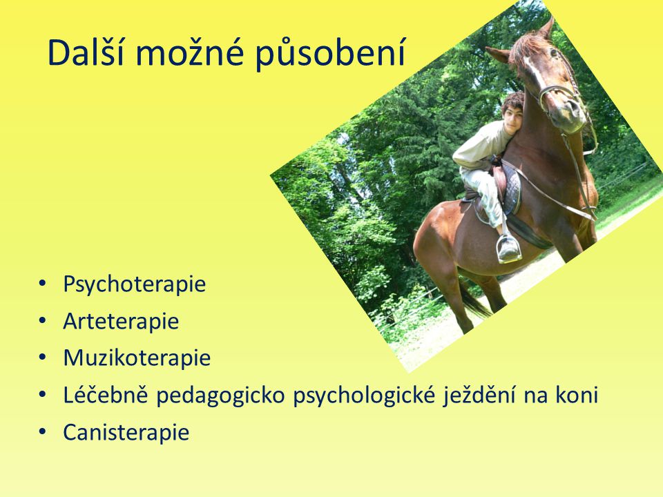 Další možné působení Psychoterapie Arteterapie Muzikoterapie Léčebně pedagogicko psychologické ježdění na koni Canisterapie