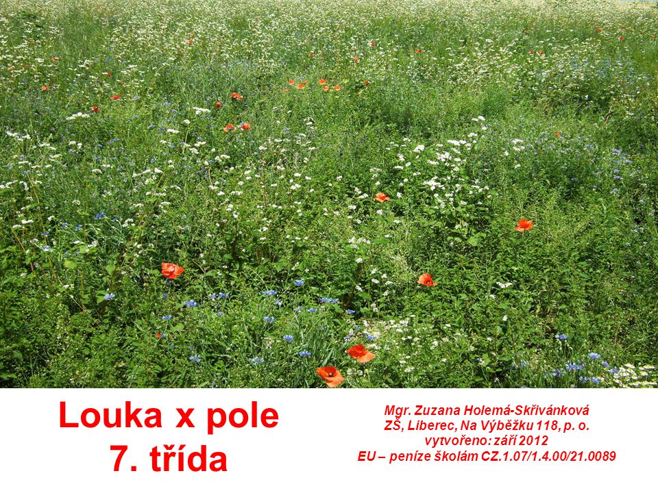 Louka x pole 7. třída Mgr. Zuzana Holemá-Skřivánková ZŠ, Liberec, Na Výběžku 118, p.