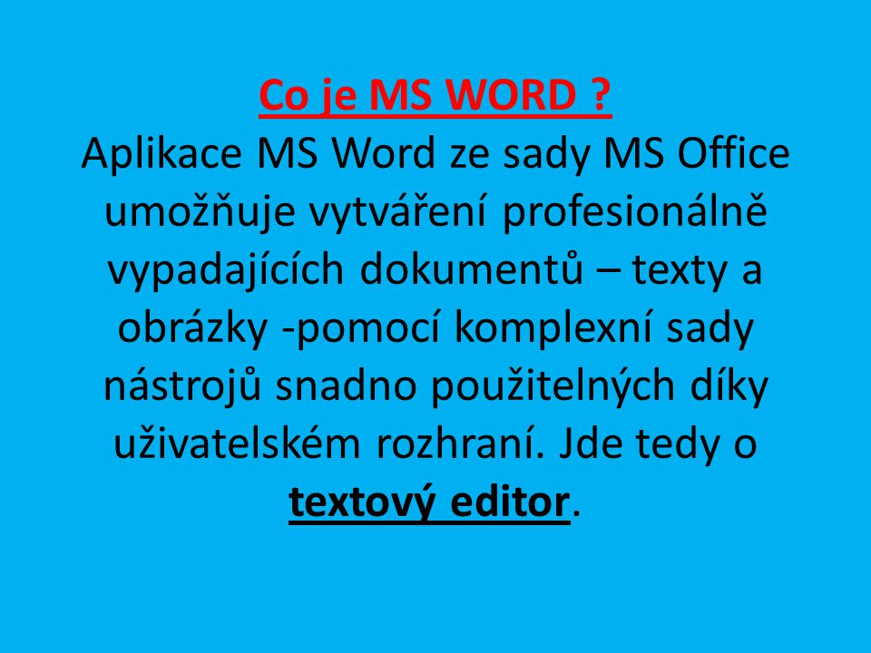 Co je MS WORD .