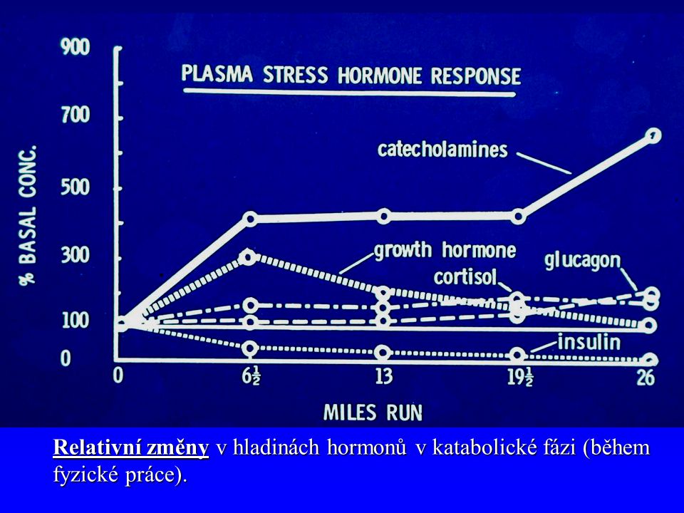 Relativní změny v hladinách hormonů v katabolické fázi (během fyzické práce).