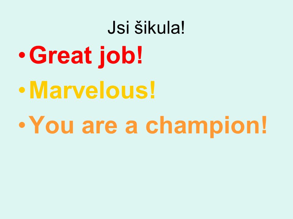 Jsi šikula! Great job! Marvelous! You are a champion!