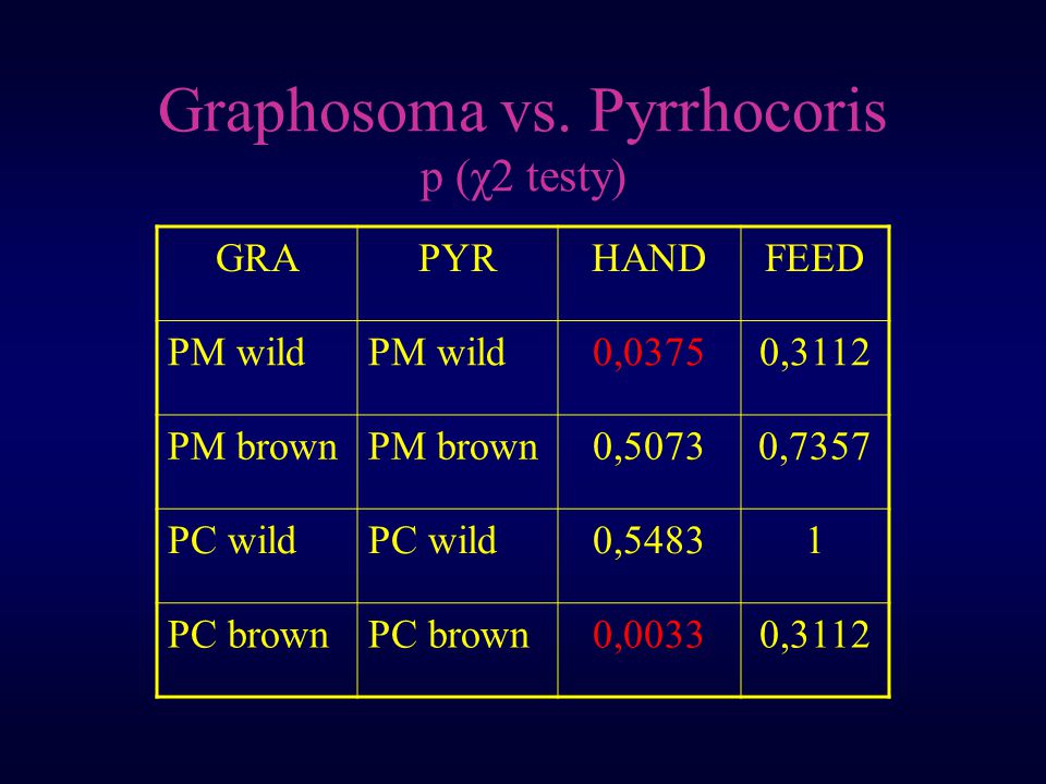 Graphosoma vs.