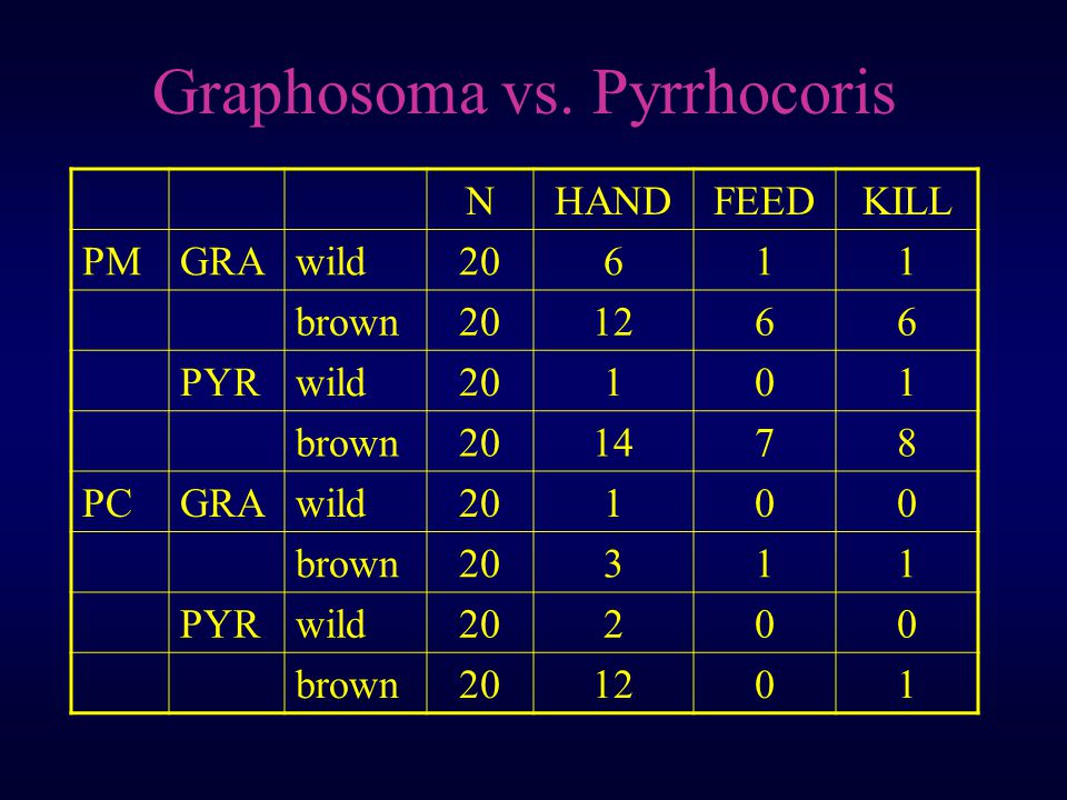 Graphosoma vs.
